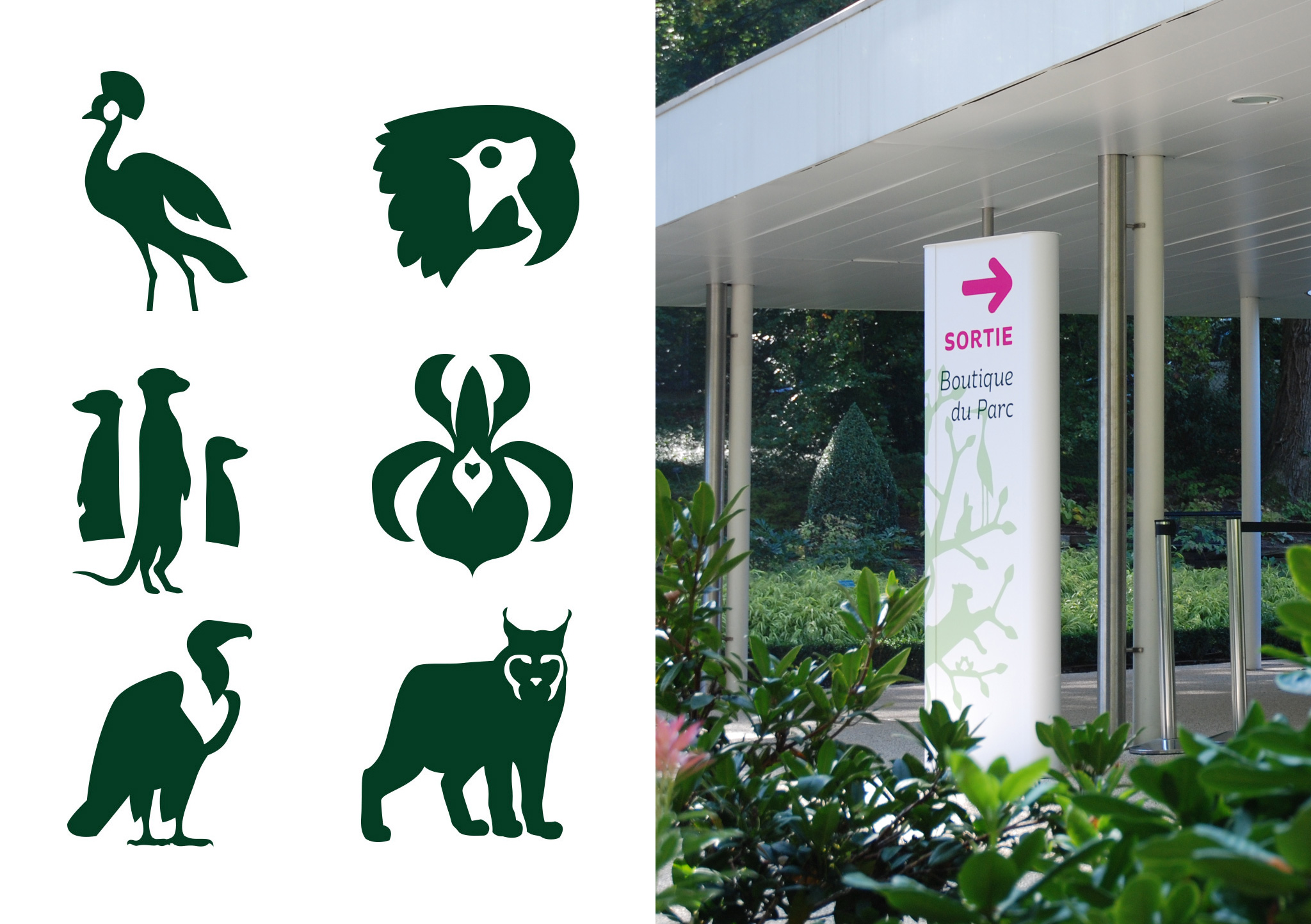 Etude de cas : Identité visuelle du Parc zoologique et botanique de Mulhouse